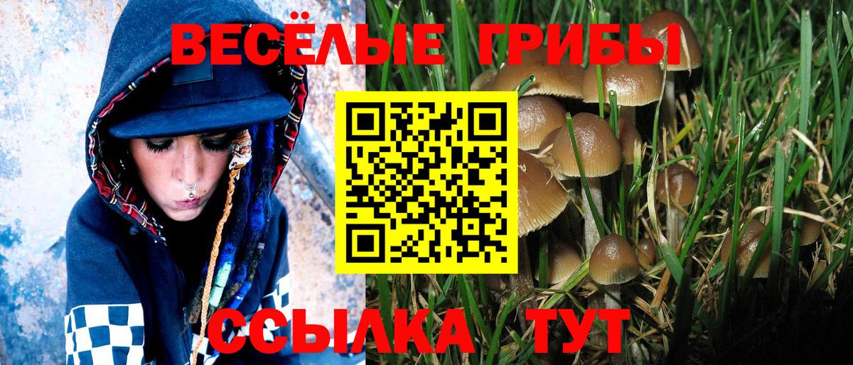 Галлюциногенные грибы Cubensis  Вход с VPN  Волоколамск 