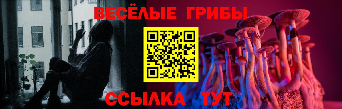 Псилоцибиновые грибы мухоморы Волоколамск